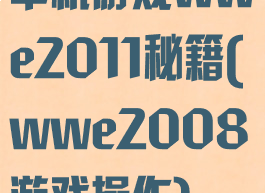 单机游戏wwe2011秘籍(wwe2008游戏操作)
