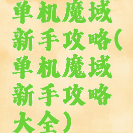 单机魔域新手攻略(单机魔域新手攻略大全)