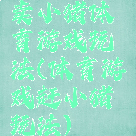 卖小猪体育游戏玩法(体育游戏赶小猪玩法)