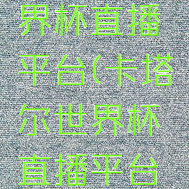 卡塔尔世界杯直播平台(卡塔尔世界杯直播平台有几个)