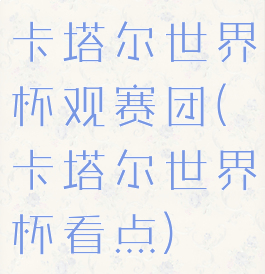 卡塔尔世界杯观赛团(卡塔尔世界杯看点)