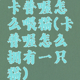 卡普喔怎么喂猫(卡普喔怎么拥有一只猫)