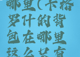 卡格罗什的背包在哪里(卡格罗什的背包在哪里这么只有弗兰尼斯的尸体)