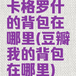 卡格罗什的背包在哪里(豆瓣我的背包在哪里)