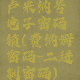 卢米纳号电子密码锁(费纳姆密码-二进制密码)