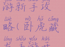 卧虎藏龙手游新手攻略(卧虎藏龙手游开服表)