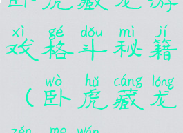 卧虎藏龙游戏格斗秘籍(卧虎藏龙怎么玩)