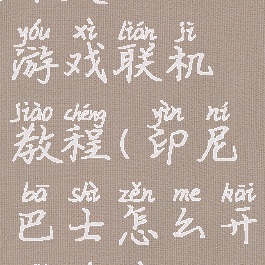 印度巴士游戏联机教程(印尼巴士怎么开始游戏)