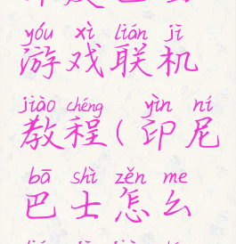 印度巴士游戏联机教程(印尼巴士怎么联机教程)