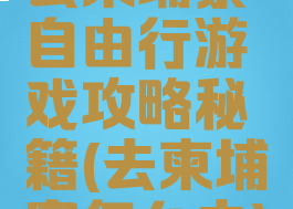 去柬埔寨自由行游戏攻略秘籍(去柬埔寨怎么去)