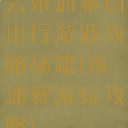 去柬埔寨自由行游戏攻略秘籍(柬埔寨游玩攻略)