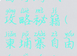 去柬埔寨自由行游戏攻略秘籍(柬埔寨自由行旅游攻略)