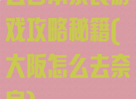 去日本奈良游戏攻略秘籍(大阪怎么去奈良)