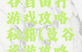 去泰国曼谷自由行游戏攻略秘籍(曼谷旅游攻略自助)