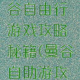去泰国曼谷自由行游戏攻略秘籍(曼谷自助游攻略)