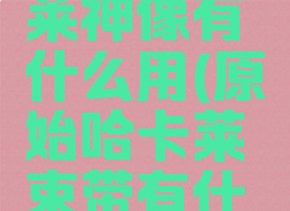 原始哈卡莱神像有什么用(原始哈卡莱束带有什么用)