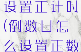 倒数日怎么设置正计时(倒数日怎么设置正数时间)