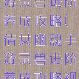 倩女幽魂手游灵兽进阶养成攻略(倩女幽魂手游灵兽进阶养成攻略视频)