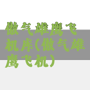 傲气雄鹰飞机库(傲气雄鹰飞机)