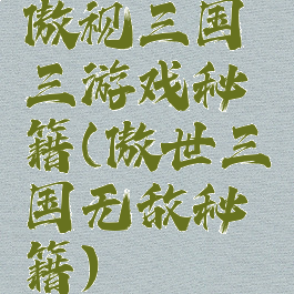 傲视三国三游戏秘籍(傲世三国无敌秘籍)