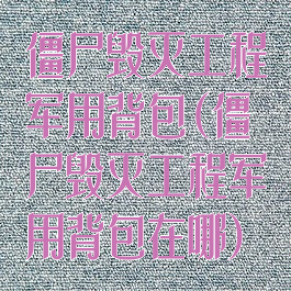 僵尸毁灭工程军用背包(僵尸毁灭工程军用背包在哪)