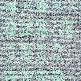 僵尸毁灭工程床垫(僵尸毁灭工程床垫搬)