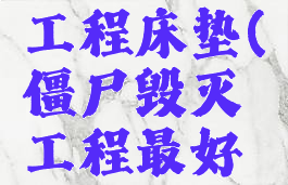 僵尸毁灭工程床垫(僵尸毁灭工程最好的床)