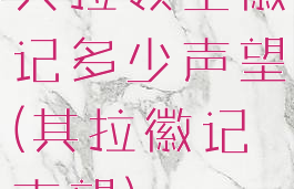 其拉领主徽记多少声望(其拉徽记声望)