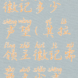 其拉领主徽记多少声望(其拉领主徽记需要多少声望)