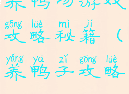 养鸭场游戏攻略秘籍(养鸭子攻略)