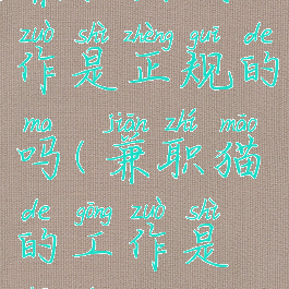 兼职猫找工作是正规的吗(兼职猫的工作是真的吗)