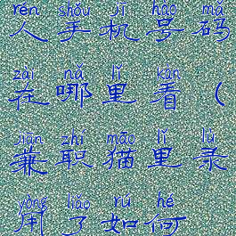 兼职猫联系人手机号码在哪里看(兼职猫里录用了如何联系工作)