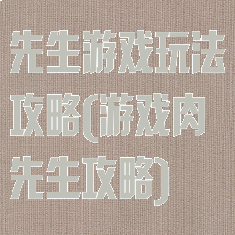 先生游戏玩法攻略(游戏肉先生攻略)