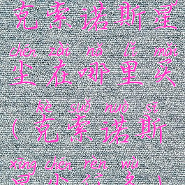 克索诺斯星尘在哪里买(克索诺斯星尘任务)