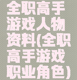 全职高手游戏人物资料(全职高手游戏职业角色)