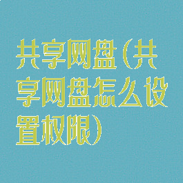 共享网盘(共享网盘怎么设置权限)