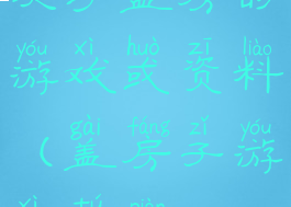 关于盖房的游戏或资料(盖房子游戏图片)