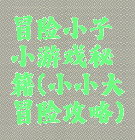 冒险小子小游戏秘籍(小小大冒险攻略)