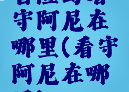 冒险岛看守阿尼在哪里(看守阿尼在哪里)