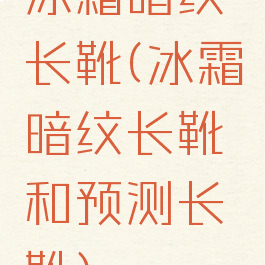 冰霜暗纹长靴(冰霜暗纹长靴和预测长靴)