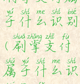 刷掌支付属于什么识别(刷掌支付属于什么识别方法)