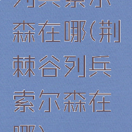 列兵索尔森在哪(荆棘谷列兵索尔森在哪)