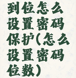 到位怎么设置密码保护(怎么设置密码位数)
