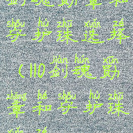 剑魂勋章和守护珠选择(110剑魂勋章和守护珠选择)