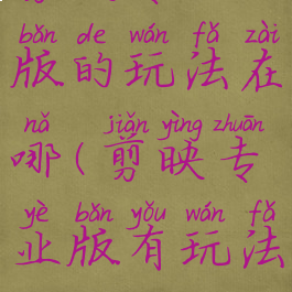 剪映专业版的玩法在哪(剪映专业版有玩法吗)