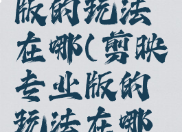 剪映专业版的玩法在哪(剪映专业版的玩法在哪里)