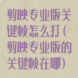 剪映专业版关键帧怎么打(剪映专业版的关键帧在哪)