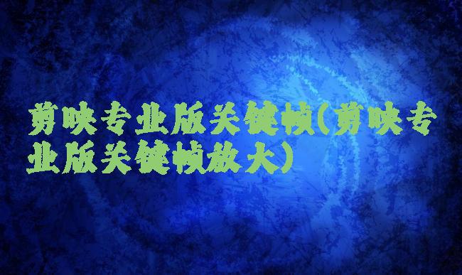 剪映专业版关键帧(剪映专业版关键帧放大)