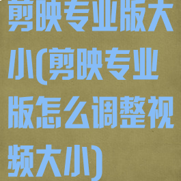 剪映专业版大小(剪映专业版怎么调整视频大小)