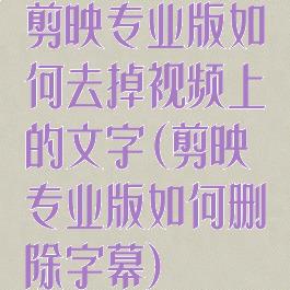 剪映专业版如何去掉视频上的文字(剪映专业版如何删除字幕)